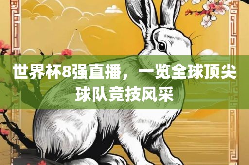 世界杯8强直播，一览全球顶尖球队竞技风采