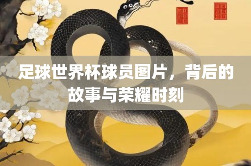足球世界杯球员图片，背后的故事与荣耀时刻
