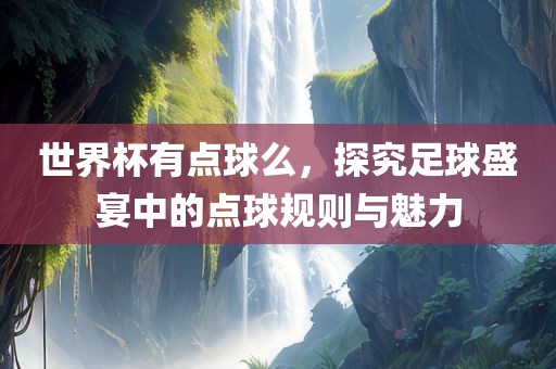 世界杯有点球么，探究足球盛宴中的点球规则与魅力