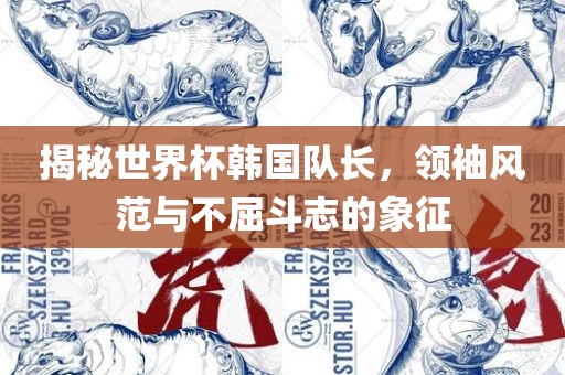 揭秘世界杯韩国队长，领袖风范与不屈斗志的象征