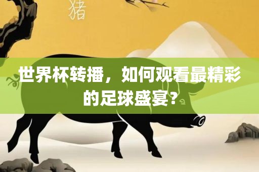 世界杯转播，如何观看最精彩的足球盛宴？江门市永晋源无纺布有限公司