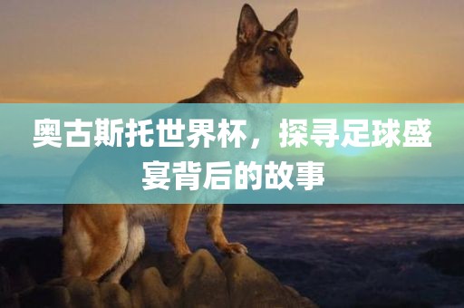 奥古斯托世界杯，探寻足球盛宴背后的故事