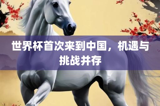 世界杯首次来到中国，机遇与挑战并存