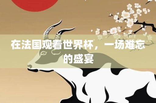 在法国观看世界杯，一场难忘的盛宴