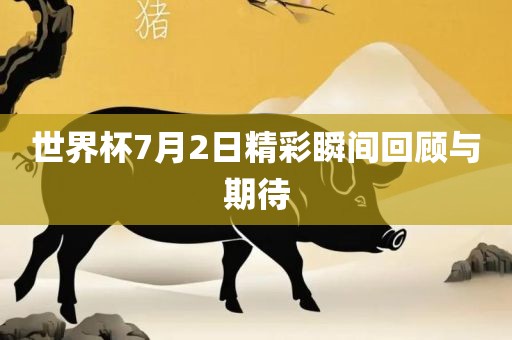 世界杯7月2日精彩瞬间回顾与期待