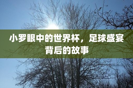 小罗眼中的世界杯，足球盛宴背后的故事