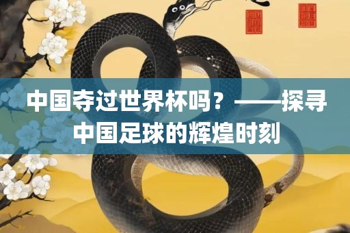 中国夺过世界杯吗？——探寻中国足球的辉煌时刻