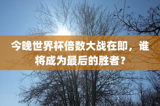 今晚世界杯倍数大战在即，谁将成为最后的胜者？