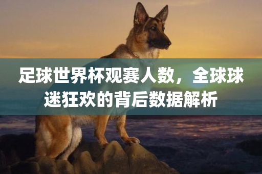 足球世界杯观赛人数，全球球迷狂欢的背后数据解析