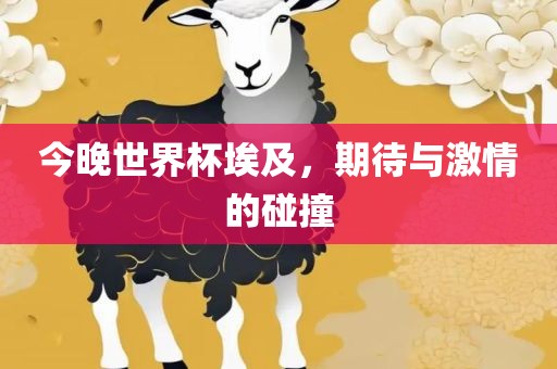 今晚世界杯埃及，期待与激情的碰撞