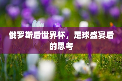俄罗斯后世界杯，足球盛宴后的思考