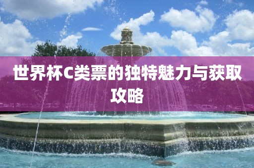 世界杯C类票的独特魅力与获取攻略