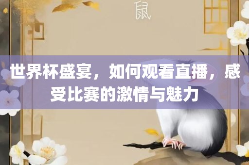 世界杯盛宴，如何观看直播，感受比赛的激情与魅力