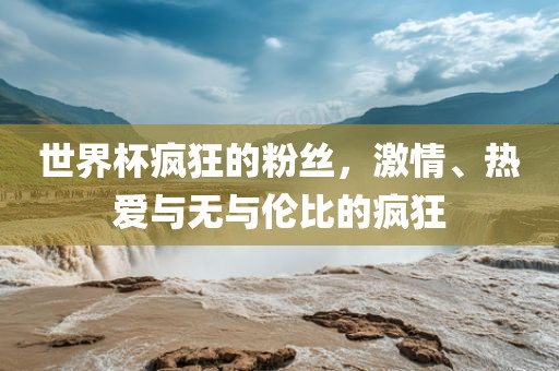 世界杯疯狂的粉丝，激情、热爱与无与伦比的疯狂