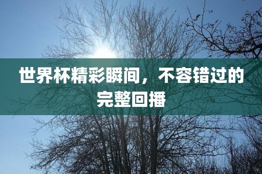 世界杯精彩瞬间，不容错过的完整回播