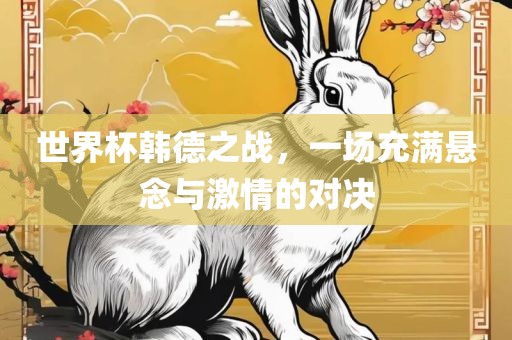 世界杯韩德之战，一场充满悬念与激情的对决