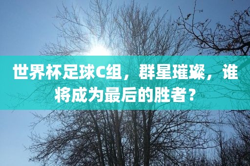 世界杯足球C组，群星璀璨，谁将成为最后的胜者？