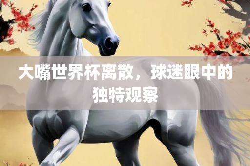 大嘴世界杯离散，球迷眼中的独特观察