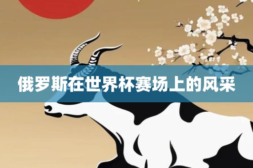 俄罗斯在世界杯赛场上的风采