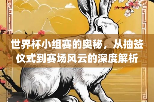 世界杯小组赛的奥秘，从抽签仪式到赛场风云的深度解析
