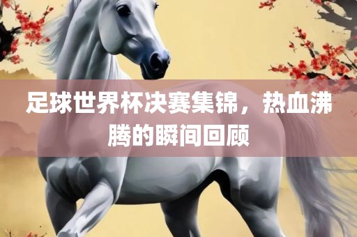 足球世界杯决赛集锦，热血沸腾的瞬间回顾