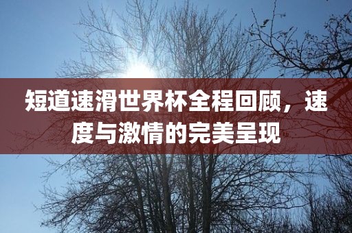 短道速滑世界杯全程回顾，速度与激情的完美呈现