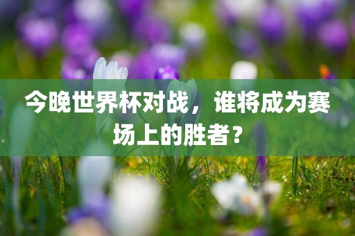 今晚世界杯对战，谁将成为赛场上的胜者？