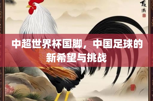 中超世界杯国脚，中国足球的新希望与挑战