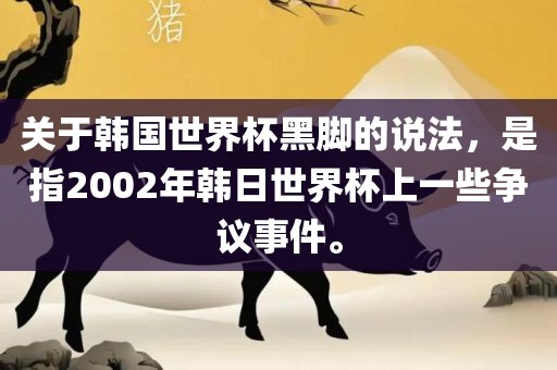 关于韩国世界杯黑脚的说法，是指2002年韩日世界杯上一些争议事件。
