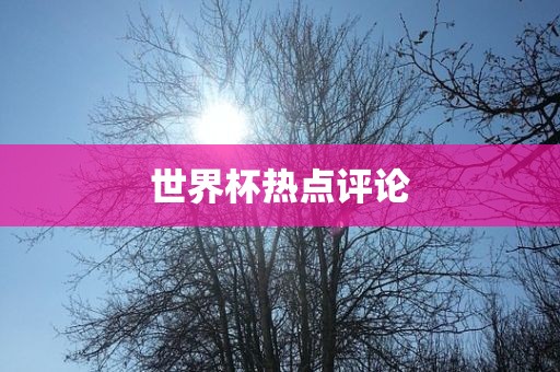 世界杯热点评论