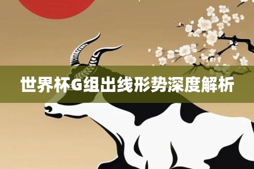 世界杯G组出线形势深度解析