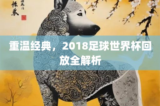 重温经典，2018足球世界杯回放全解析