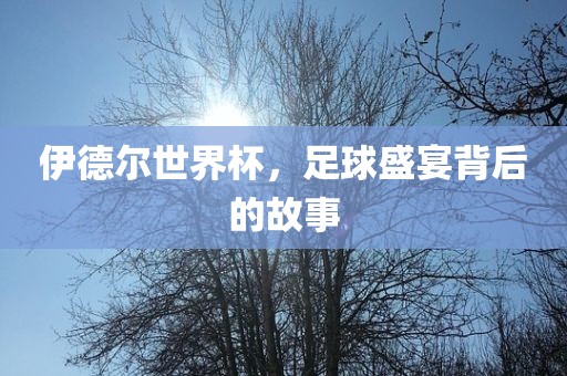 伊德尔世界杯，足球盛宴背后的故事