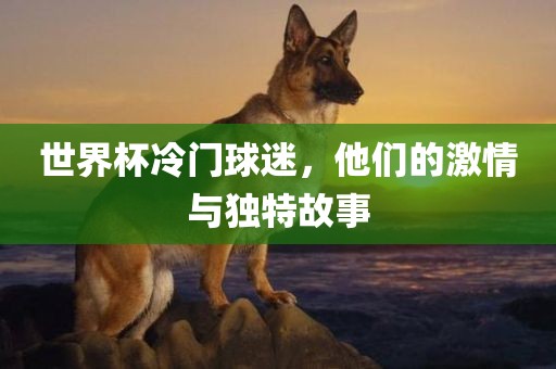 世界杯冷门球迷，他们的激情与独特故事