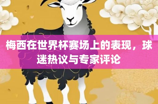 梅西在世界杯赛场上的表现，球迷热议与专家评论