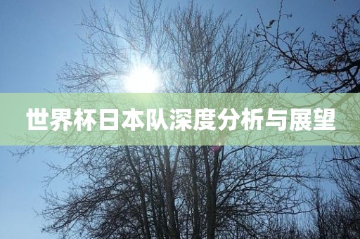 世界杯日本队深度分析与展望