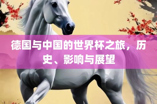 德国与中国的世界杯之旅，历史、影响与展望