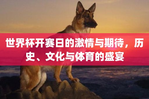 世界杯开赛日的激情与期待，历史、文化与体育的盛宴