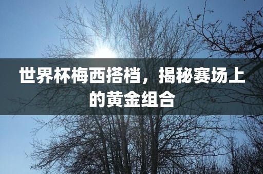 世界杯梅西搭档，揭秘赛场上的黄金组合
