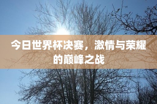 今日世界杯决赛，激情与荣耀的巅峰之战