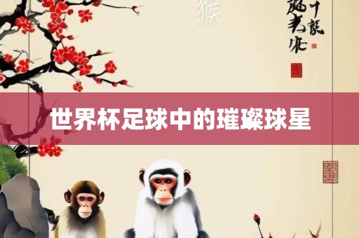 世界杯足球中的璀璨球星