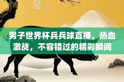 男子世界杯兵兵球直播，热血激战，不容错过的精彩瞬间