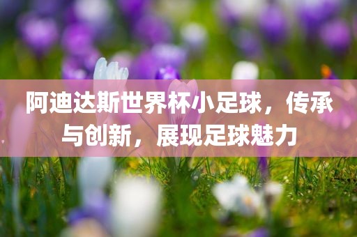 阿迪达斯世界杯小足球，传承与创新，展现足球魅力