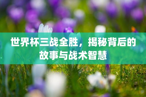 世界杯三战全胜，揭秘背后的故事与战术智慧