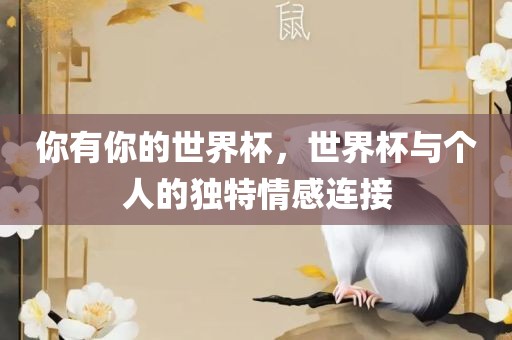 你有你的世界杯，世界杯与个人的独特情感连接