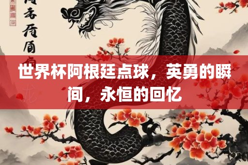 世界杯阿根廷点球，英勇的瞬间，永恒的回忆