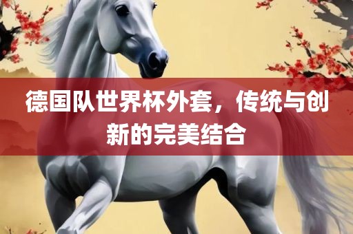 德国队世界杯外套，传统与创新的完美结合
