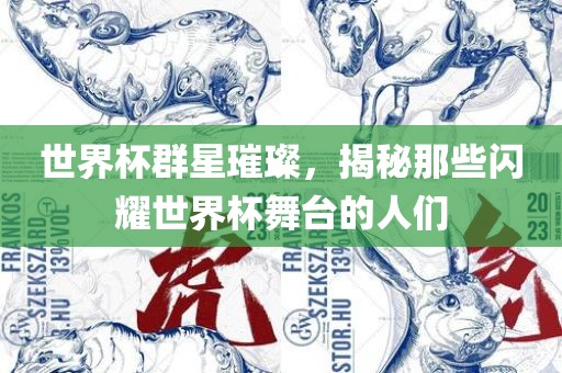 世界杯群星璀璨，揭秘那些闪耀世界杯舞台的人们