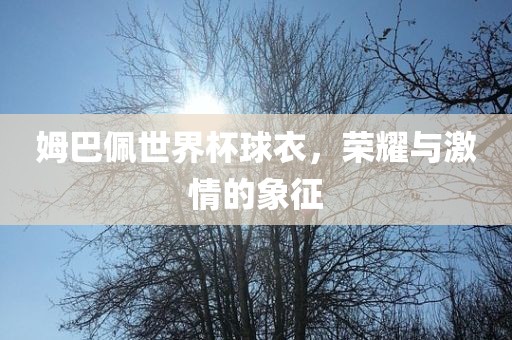 姆巴佩世界杯球衣，荣耀与激情的象征