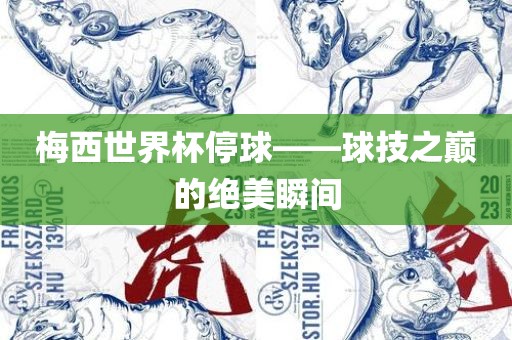梅西世界杯停球——球技之巅的绝美瞬间